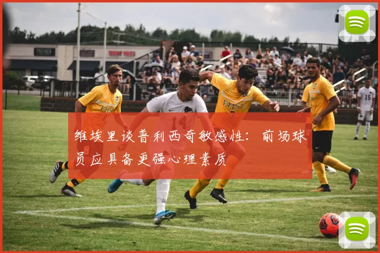 维埃里谈普利西奇敏感性：前场球员应具备更强心理素质
